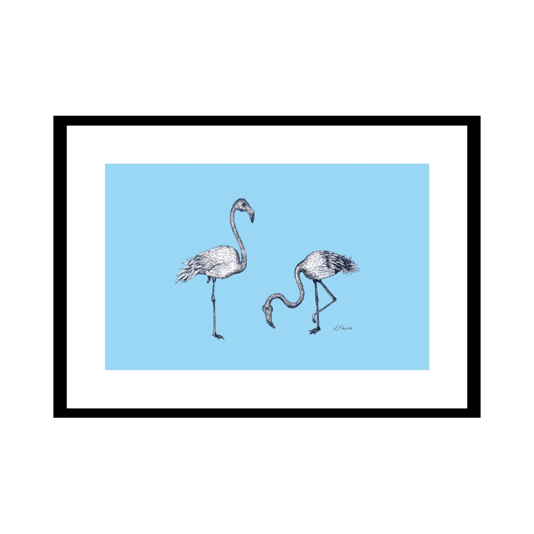 A3 'Frank & Felicity' Flamingoes Print