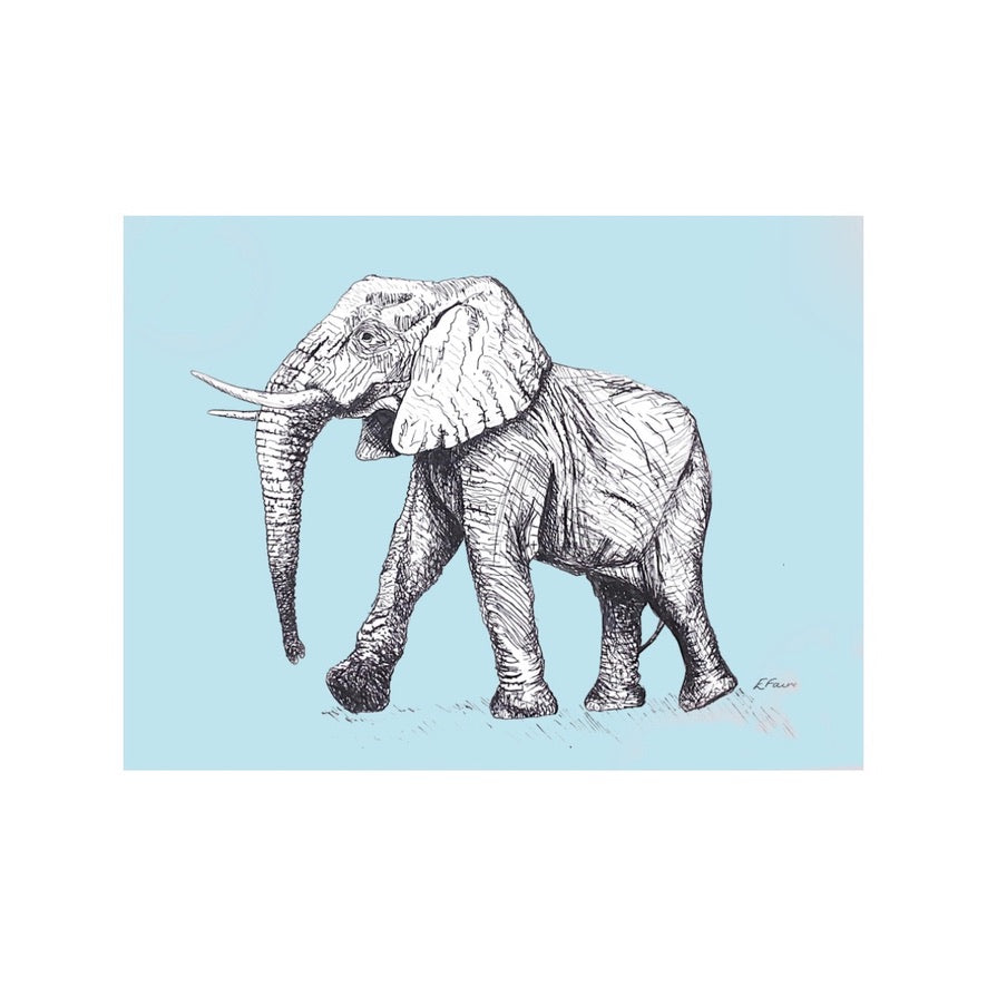 5 PASTEL 'Edward' Elephant Postcards
