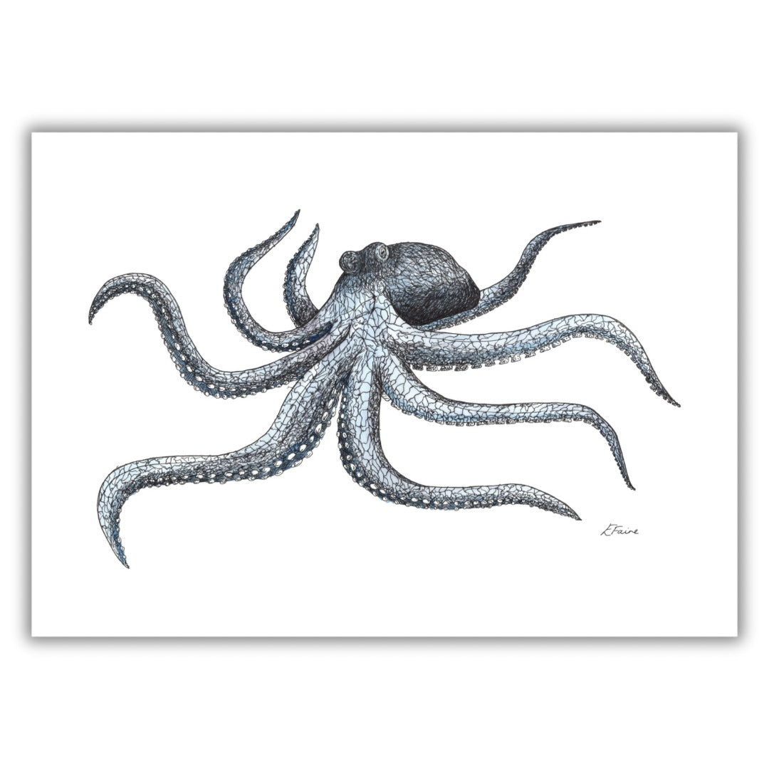 Octopus Pen & Watercolour Print (Unmounted)