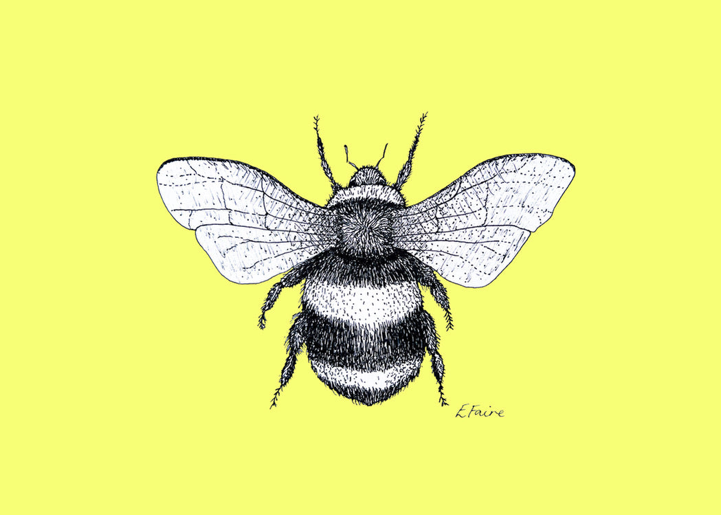 5 NEON 'Belinda' Bumblebee Postcards