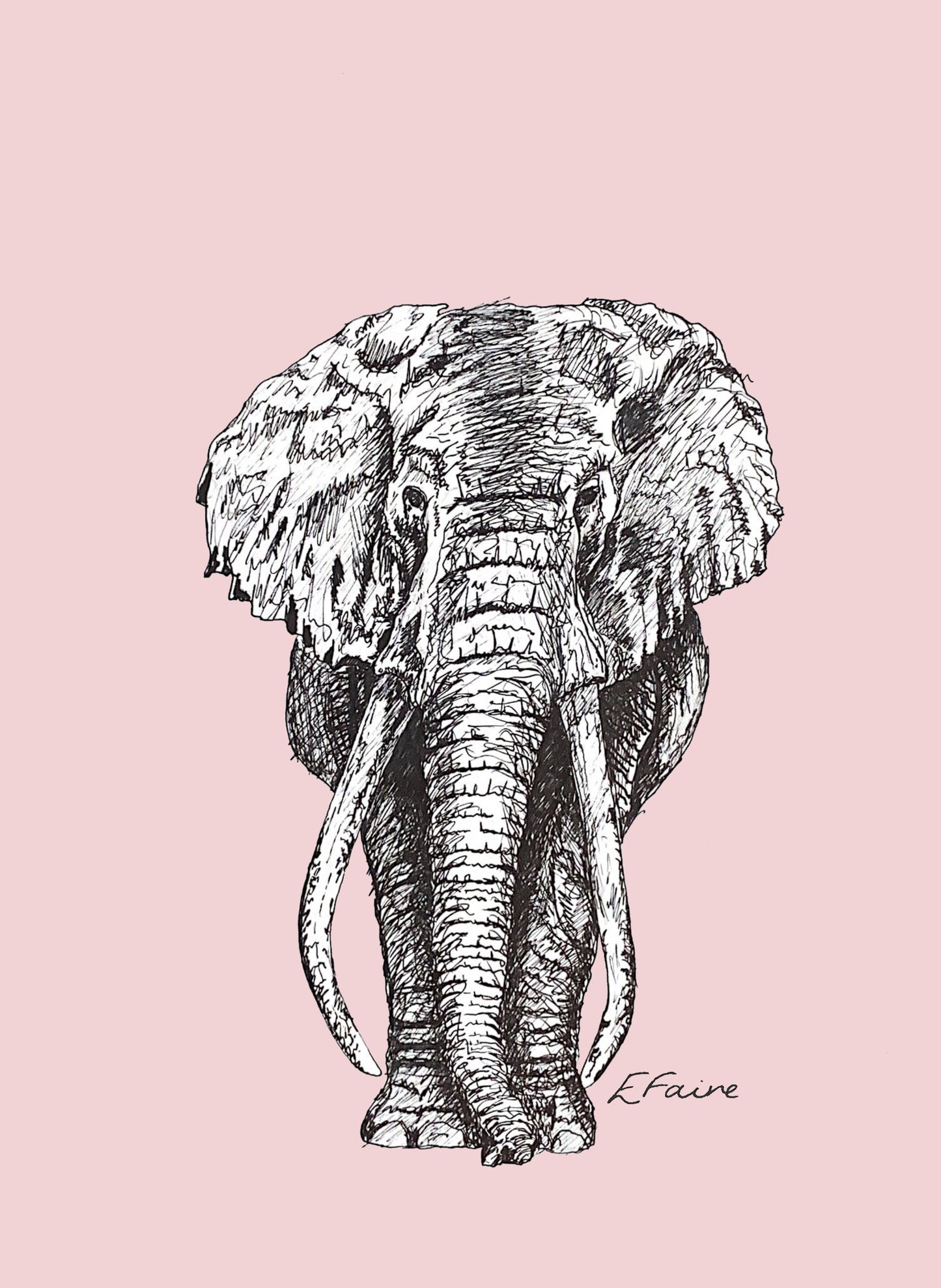 5 PASTEL 'Ems' Elephant Postcards