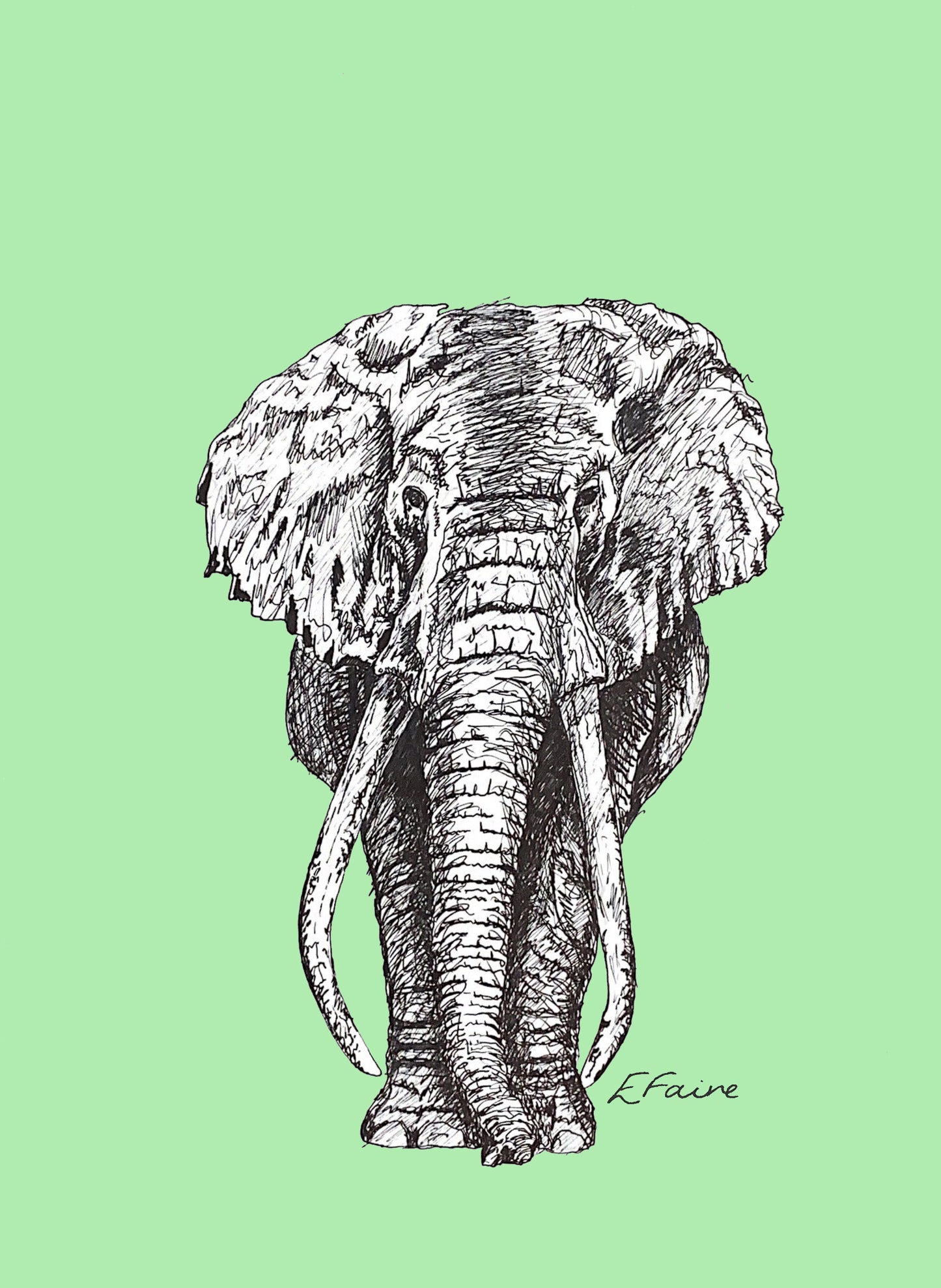5 NEON 'Ems' Elephant Postcards