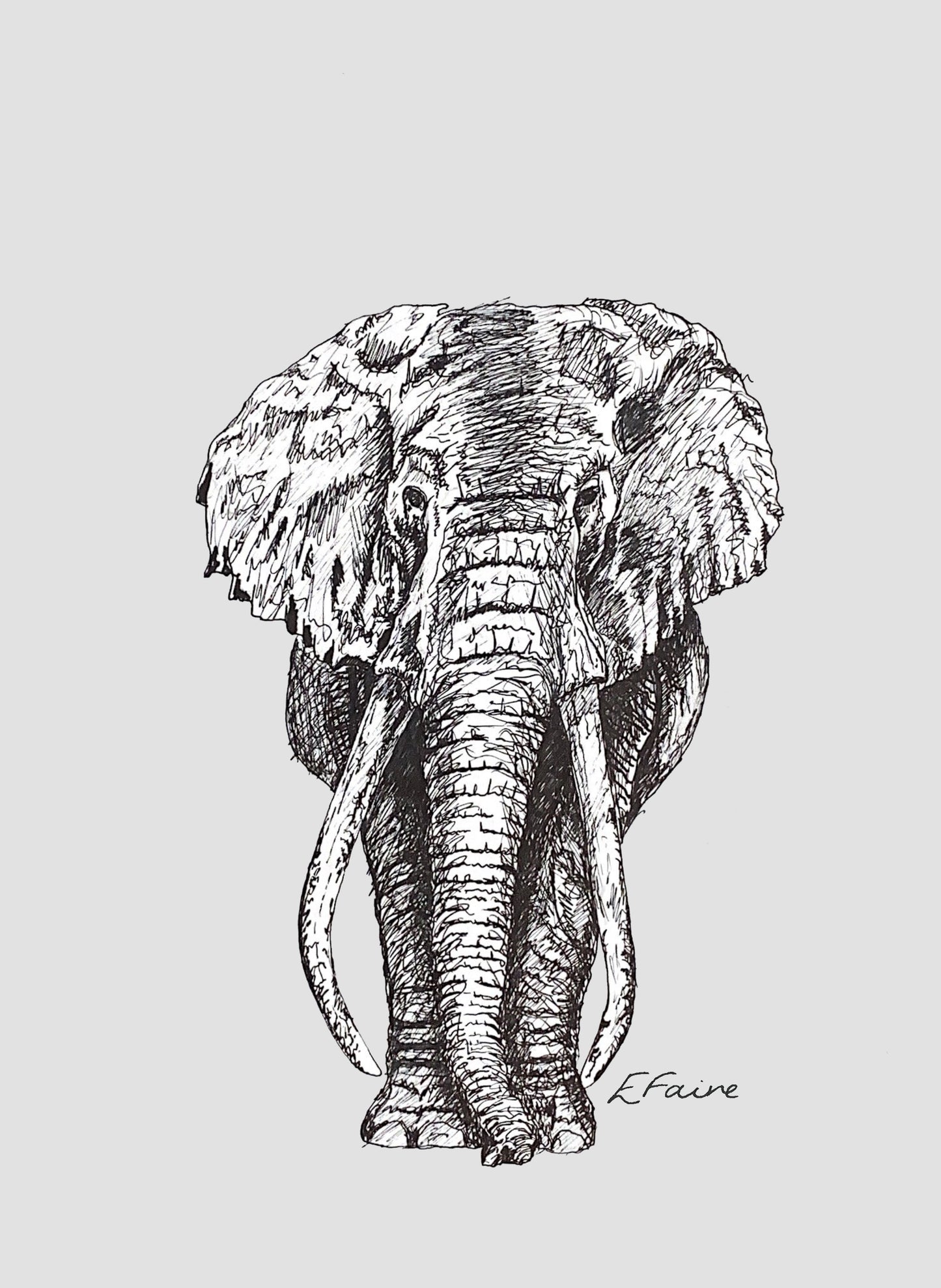 5 PASTEL 'Ems' Elephant Postcards