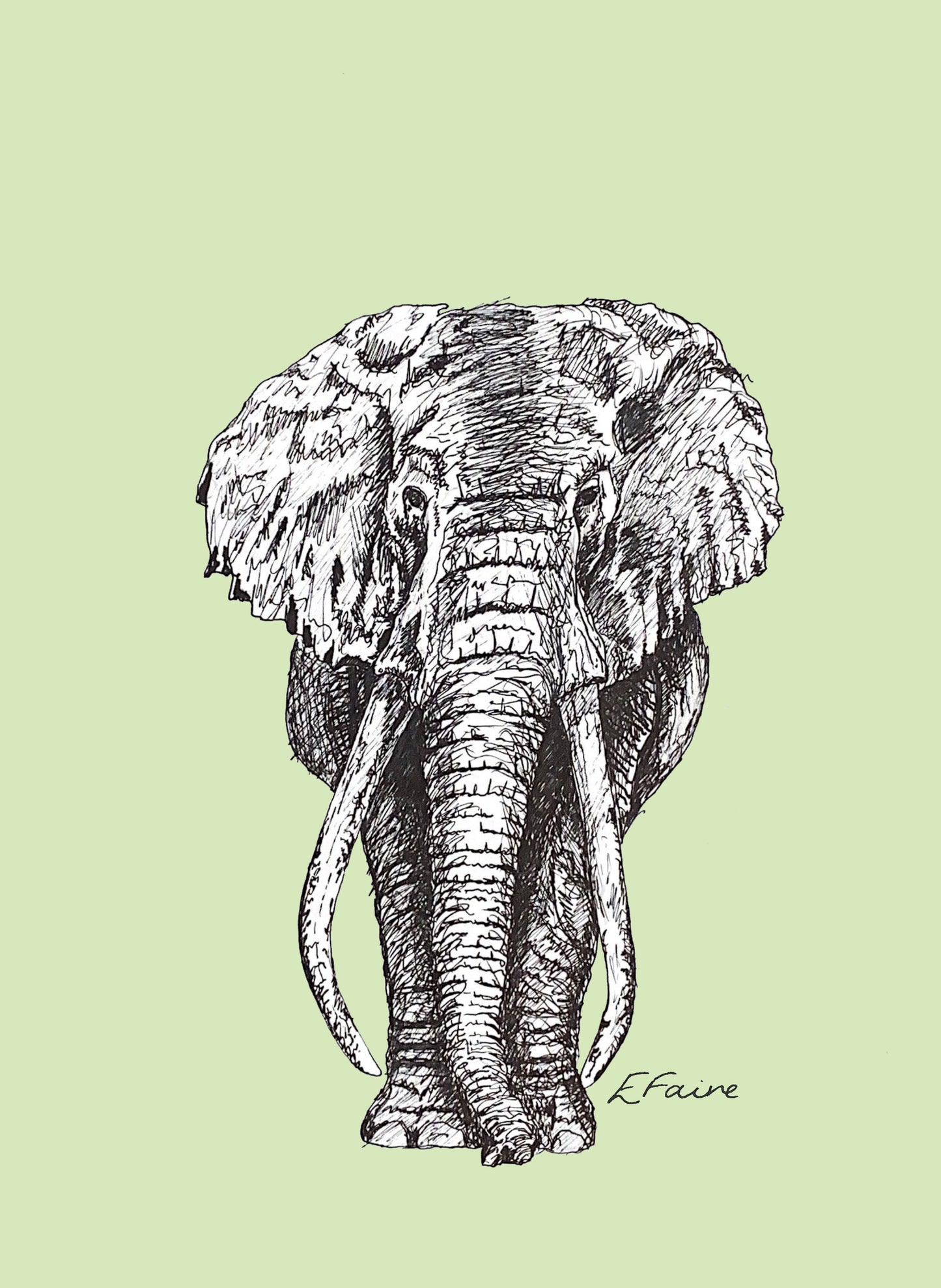 5 PASTEL 'Ems' Elephant Postcards