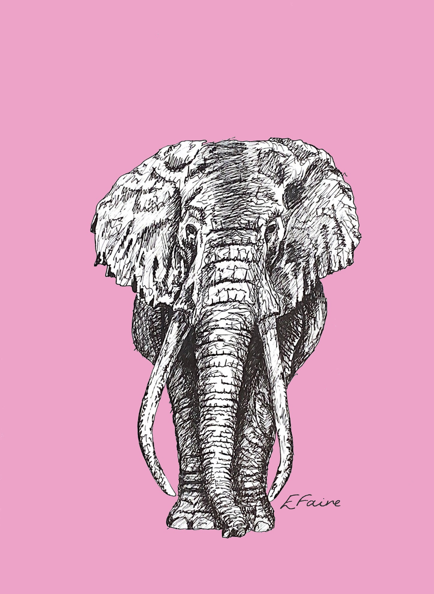 5 NEON 'Ems' Elephant Postcards
