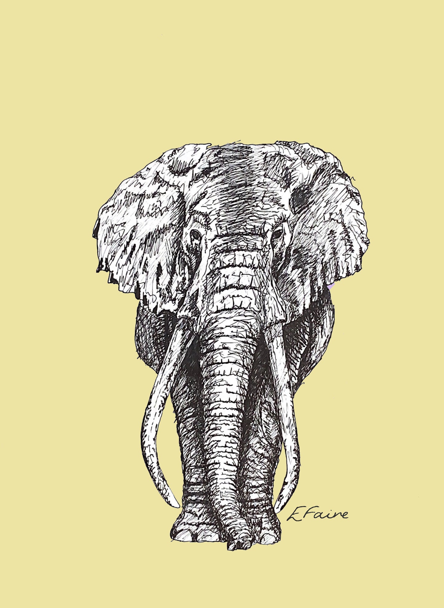 5 NEON 'Ems' Elephant Postcards