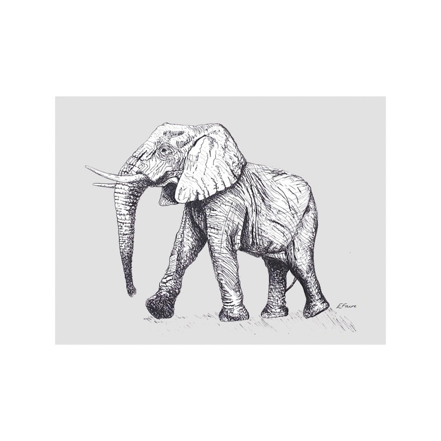 5 PASTEL 'Edward' Elephant Postcards