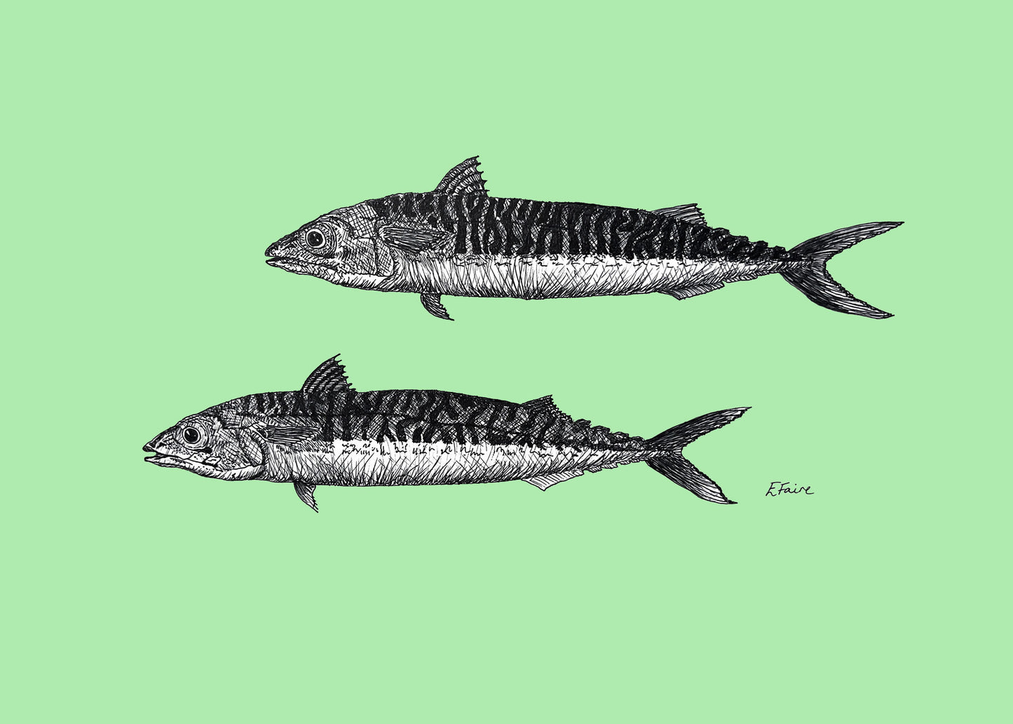 5 NEON 'Mills & Maverick' Mackerel Postcards
