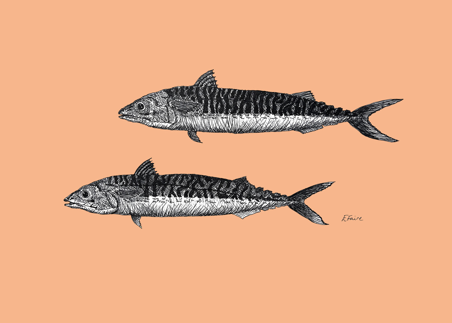 5 NEON 'Mills & Maverick' Mackerel Postcards