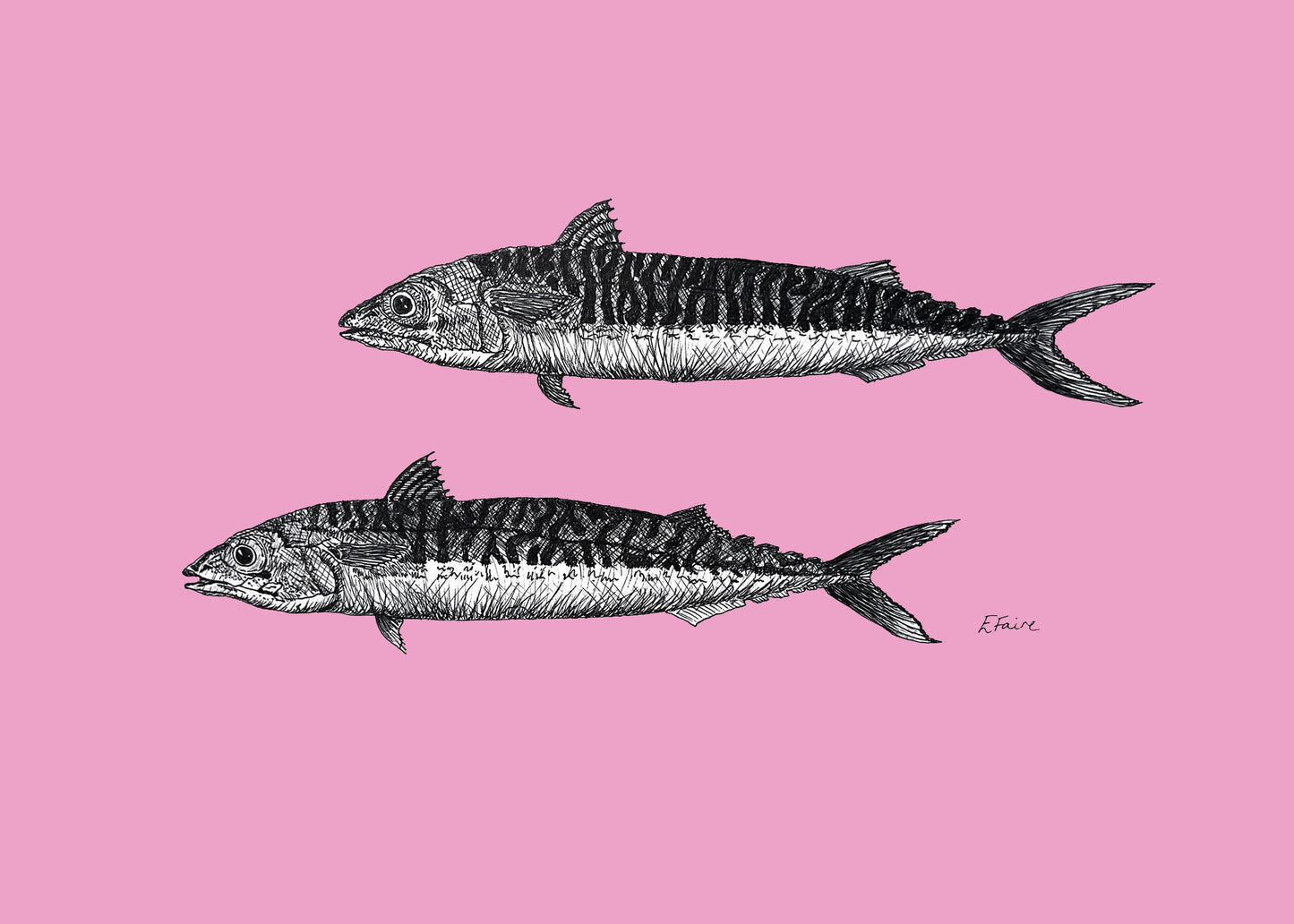 5 NEON 'Mills & Maverick' Mackerel Postcards