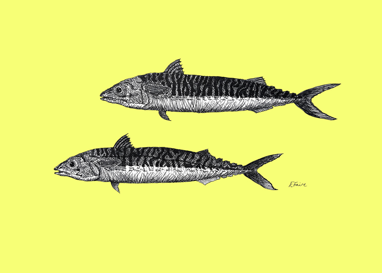 5 NEON 'Mills & Maverick' Mackerel Postcards