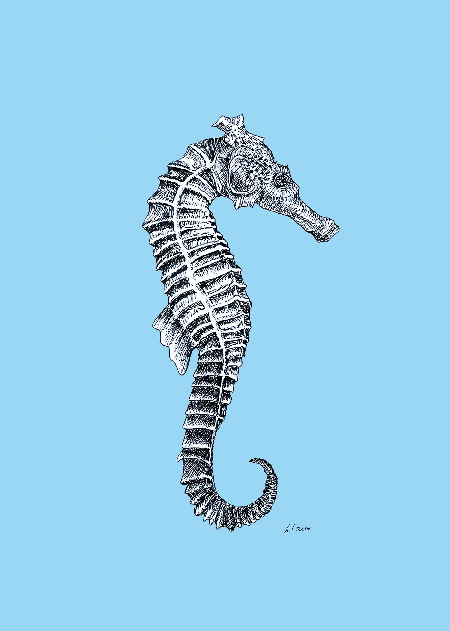 5 NEON 'Sebastian' Seahorse Postcards