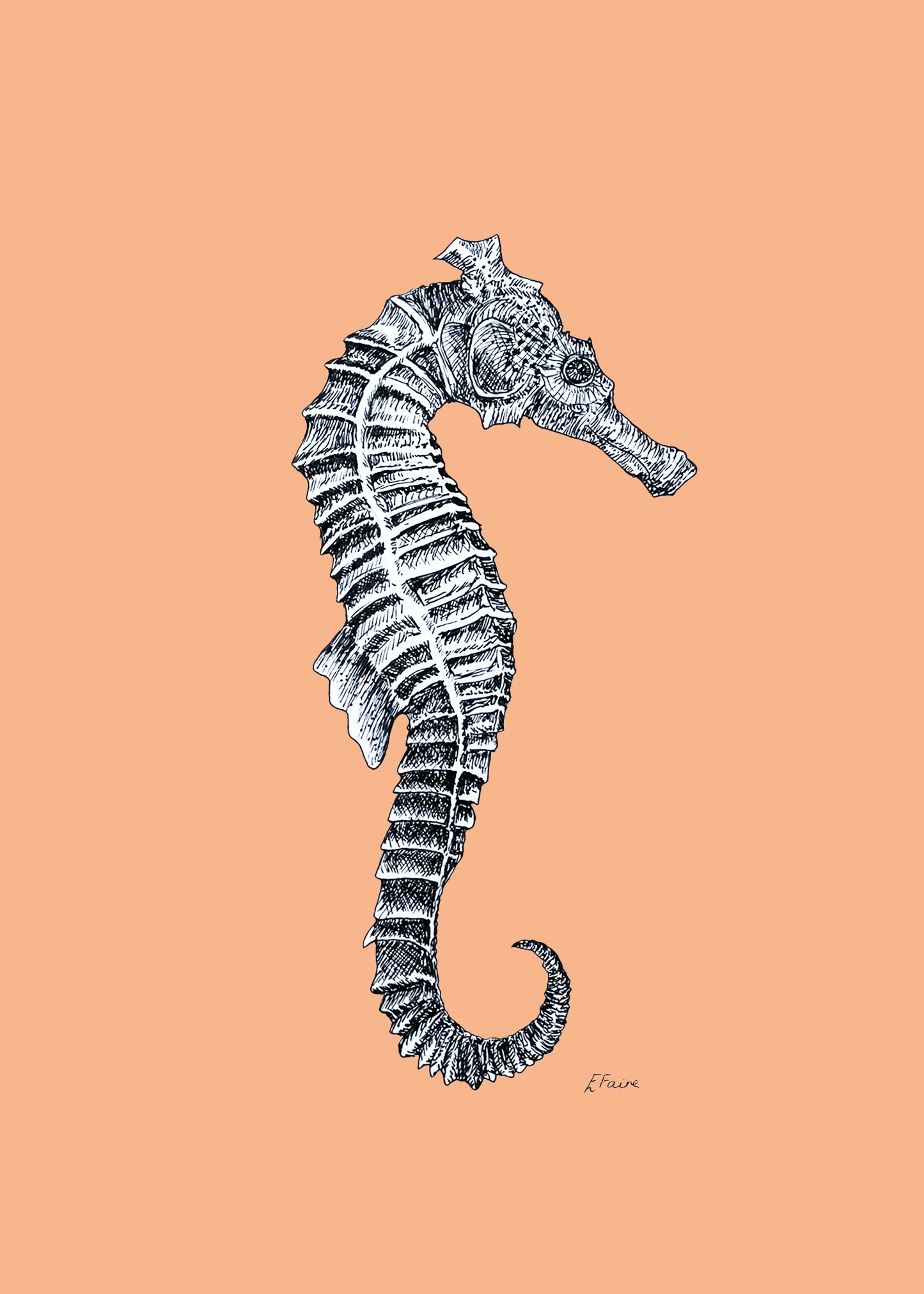 5 NEON 'Sebastian' Seahorse Postcards