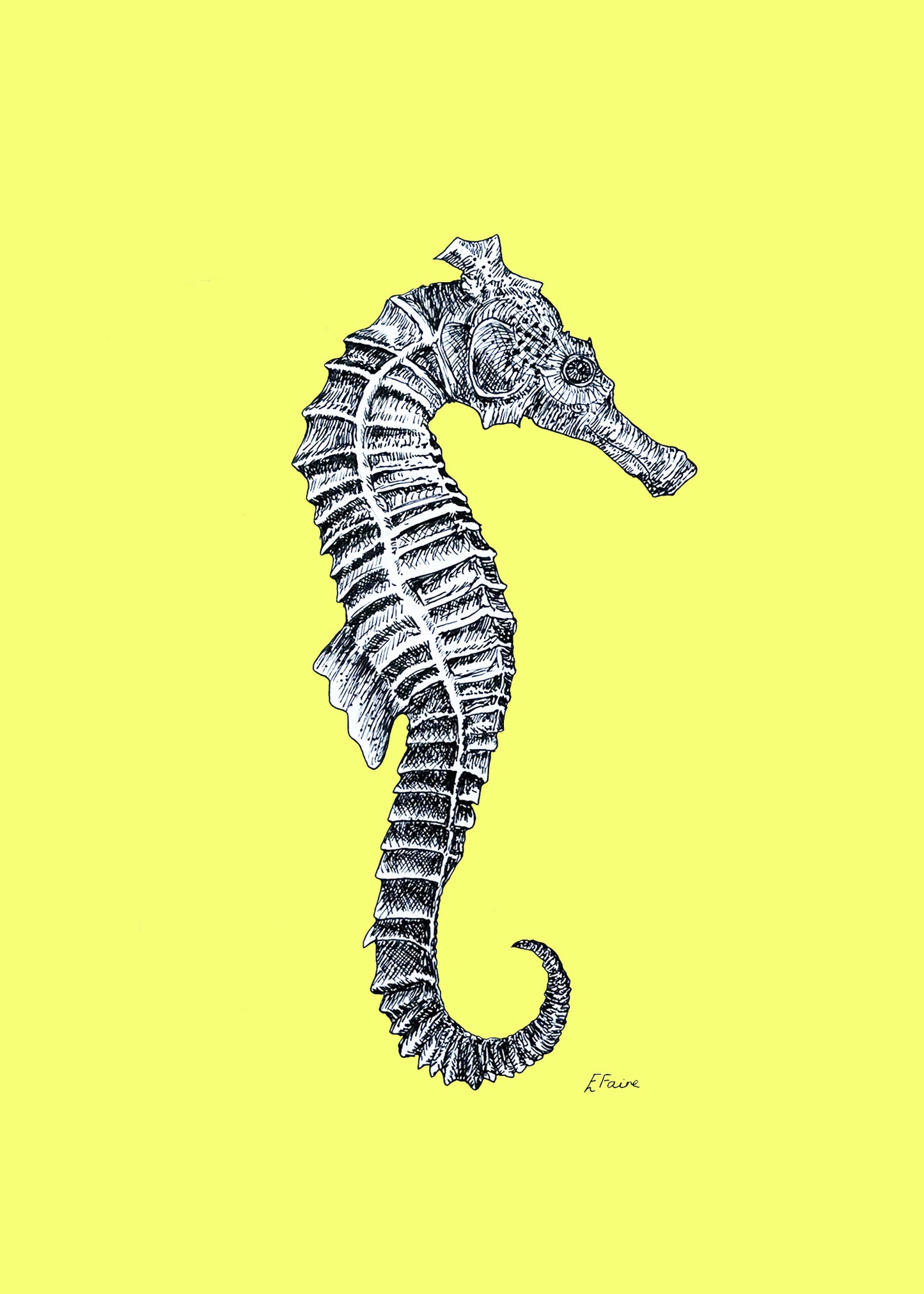5 NEON 'Sebastian' Seahorse Postcards