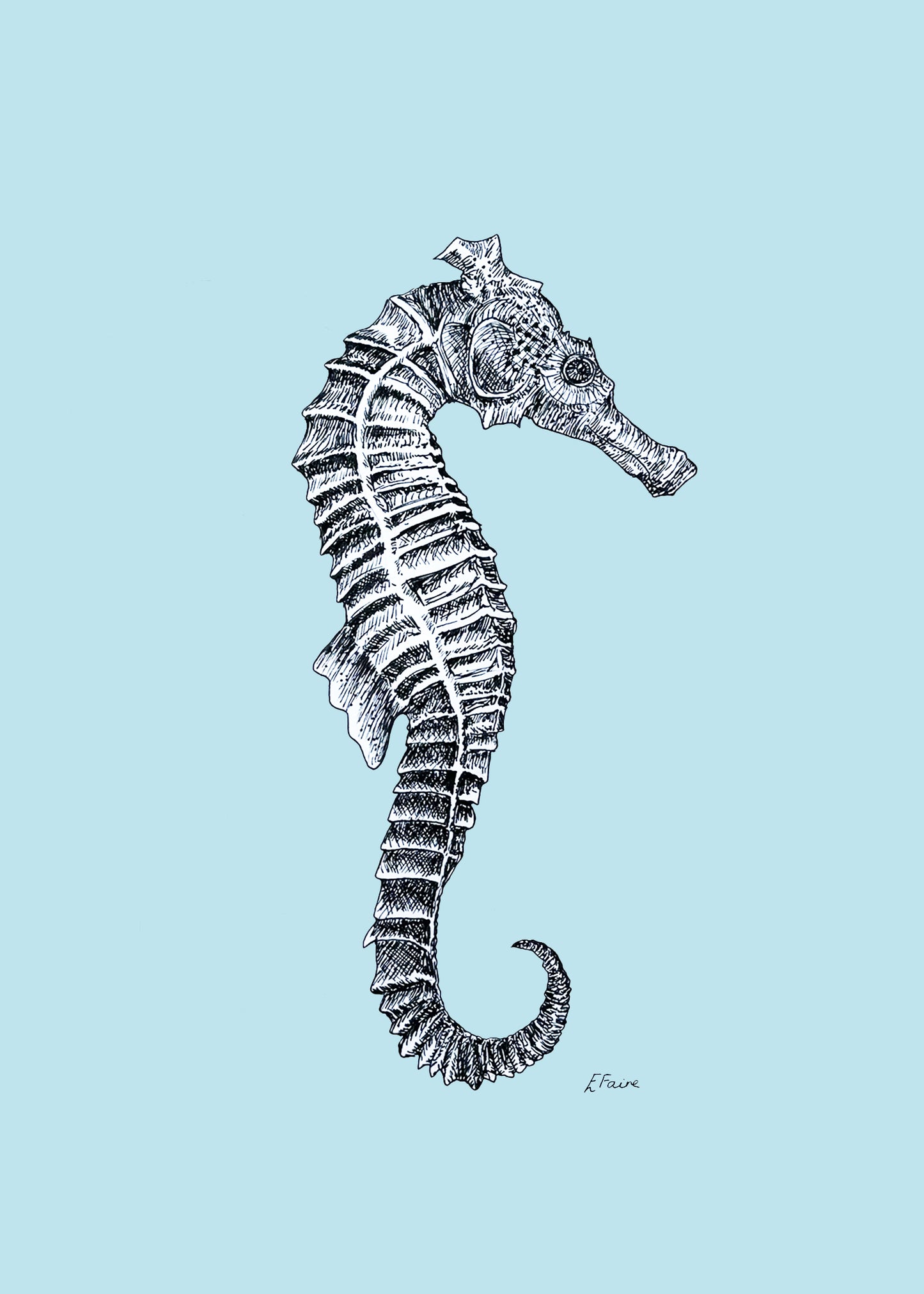 5 PASTEL 'Sebastian' Seahorse Postcards