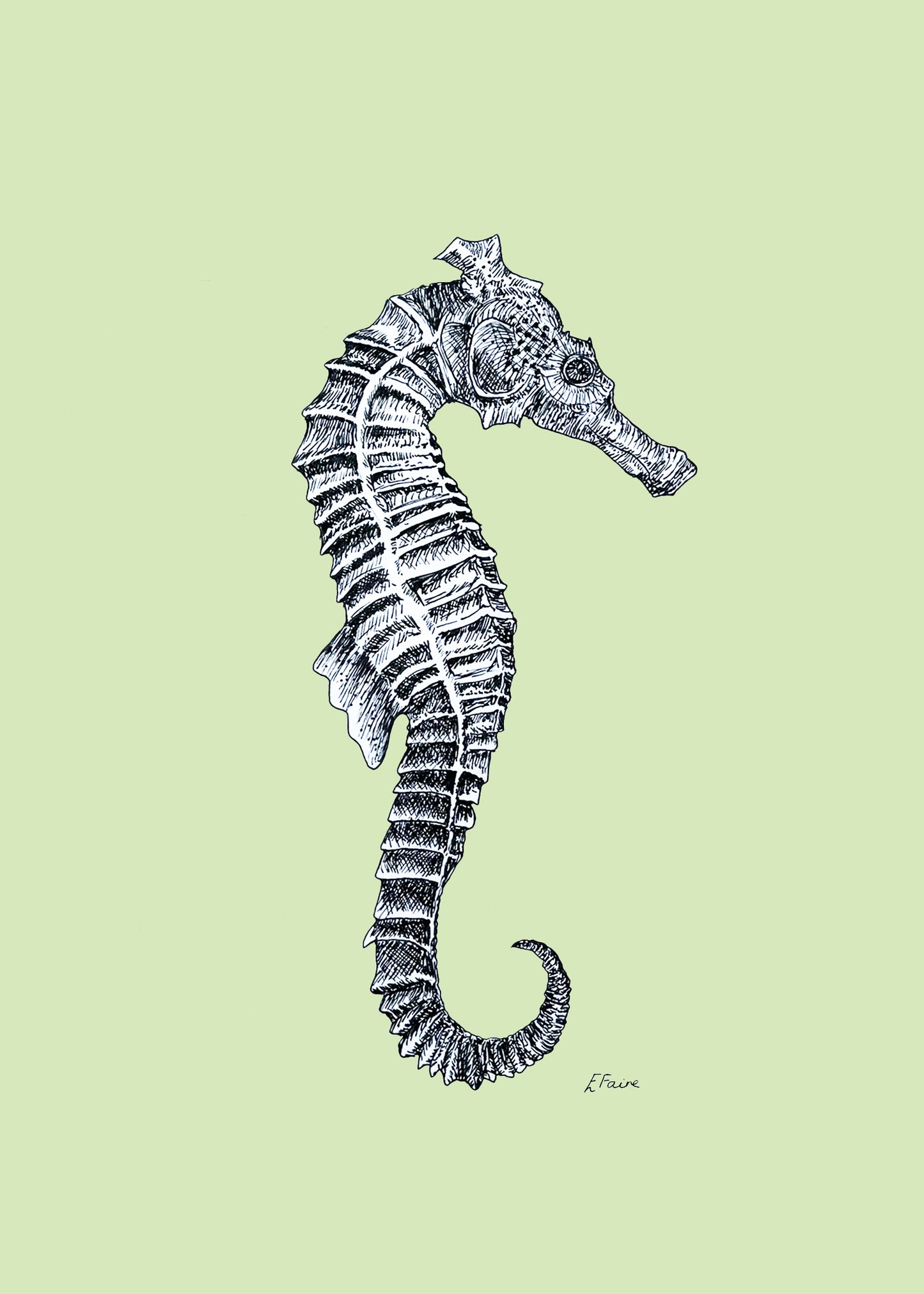 5 PASTEL 'Sebastian' Seahorse Postcards