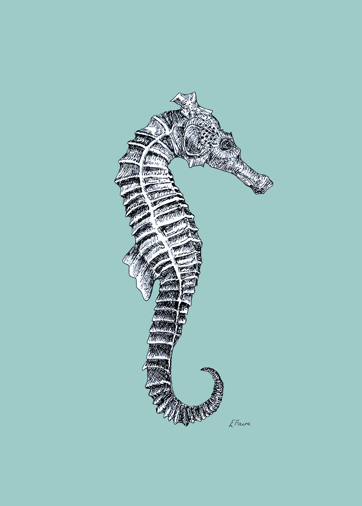 5 PASTEL 'Sebastian' Seahorse Postcards