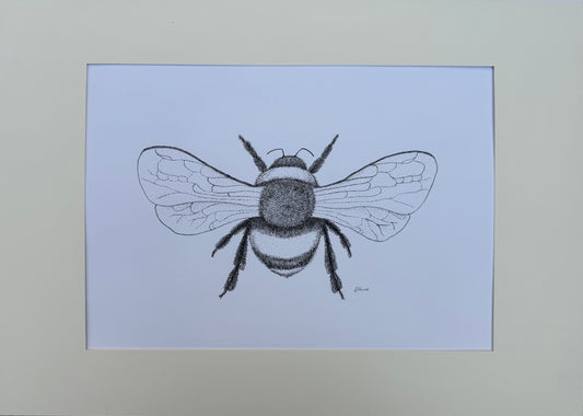 Bumblebee (A2 - Larger) Framed