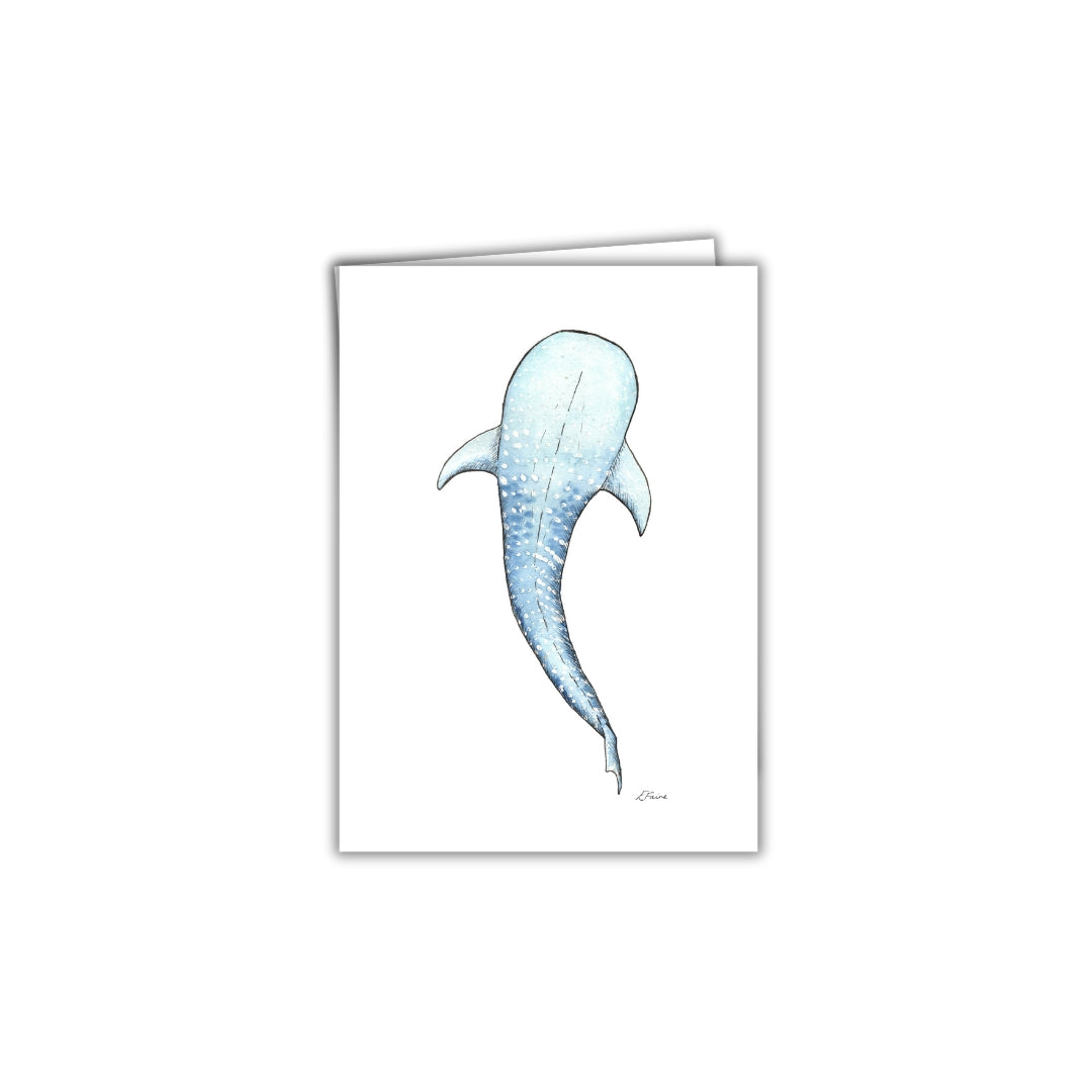 5 PORTRAIT Marine Collection Greetings Cards