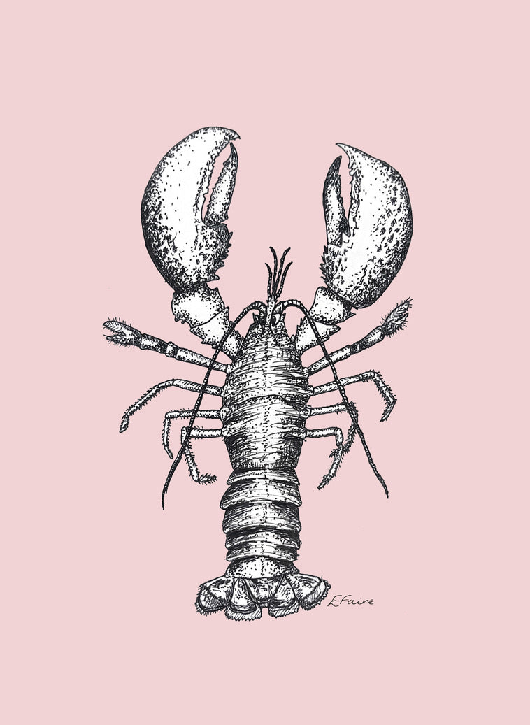 5 PASTEL 'Larry' Lobster Postcards (A6)