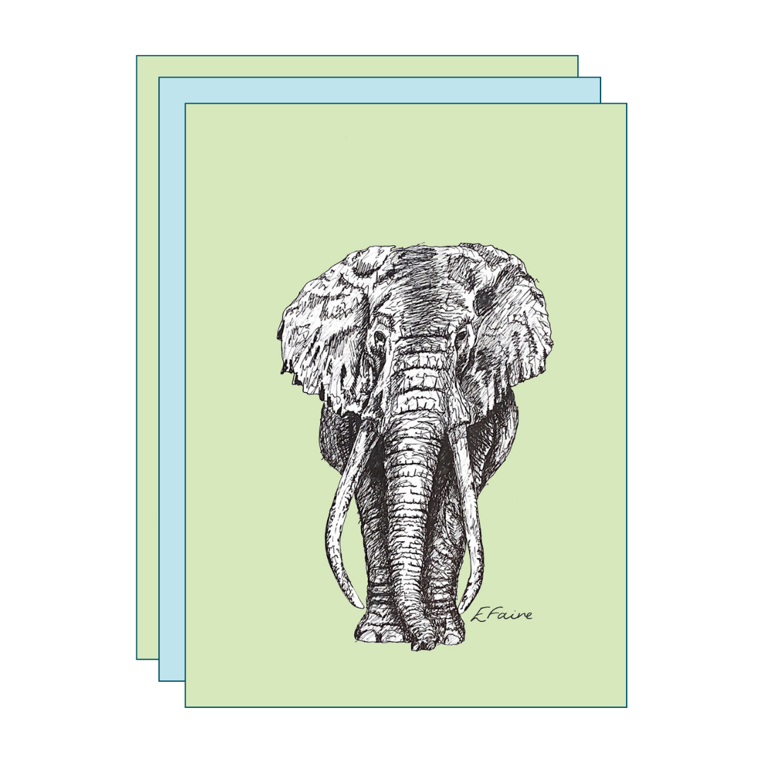 3 MIXED 'Ems' Elephant Postcards (Seconds)