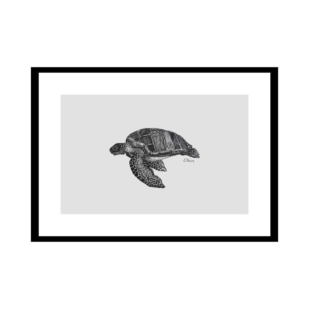 A3 'Terry' Turtle Print