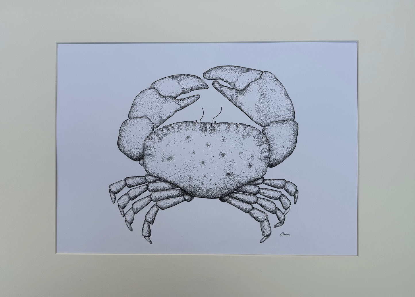 Crab (A2 - Larger) Framed