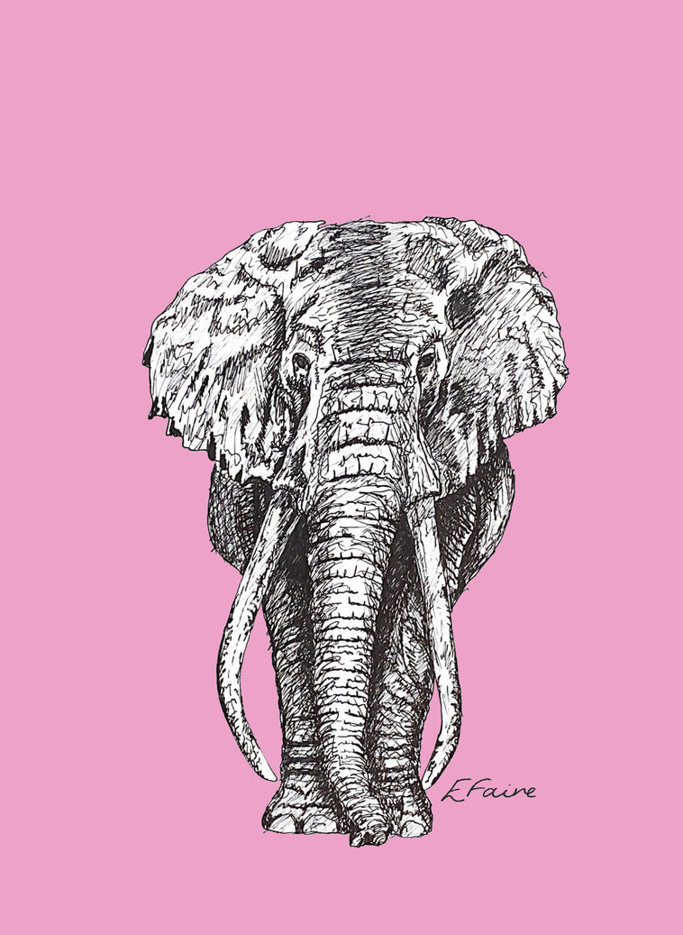 5 NEON 'Ems' Elephant Postcards (Seconds)