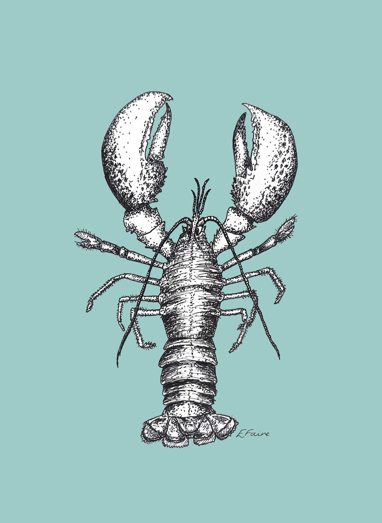 5 PASTEL 'Larry' Lobster Postcards (A6)