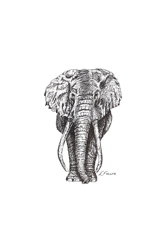 Ems Elephant A3 Print (White)