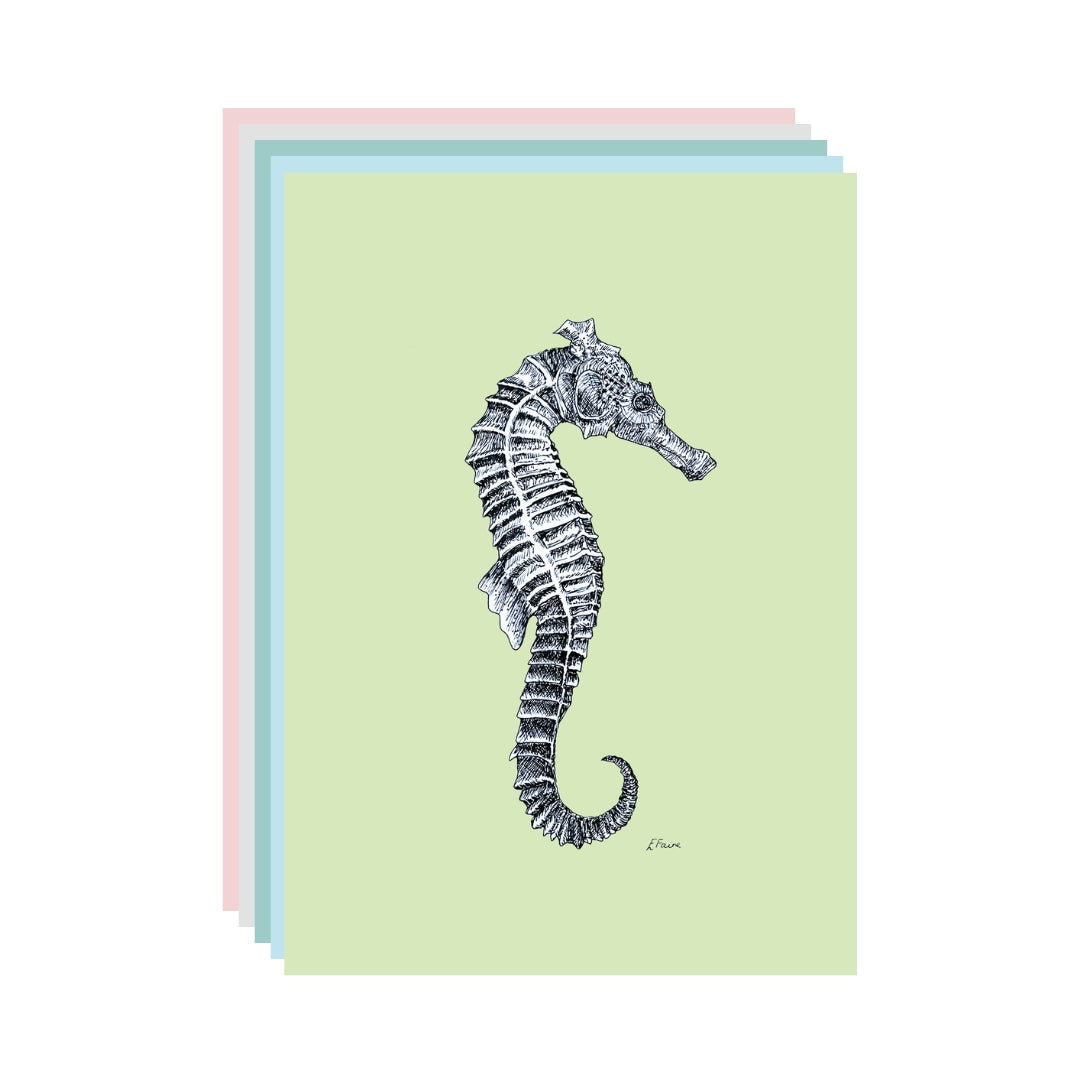 5 PASTEL 'Sebastian' Seahorse Postcards