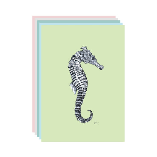 5 PASTEL 'Sebastian' Seahorse Postcards