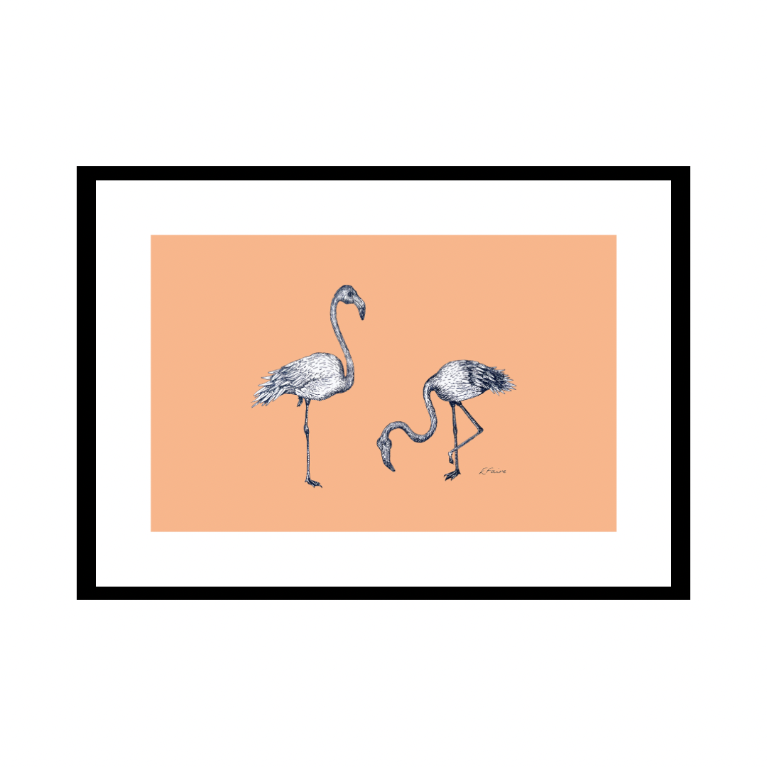 A3 'Frank & Felicity' Flamingoes Print