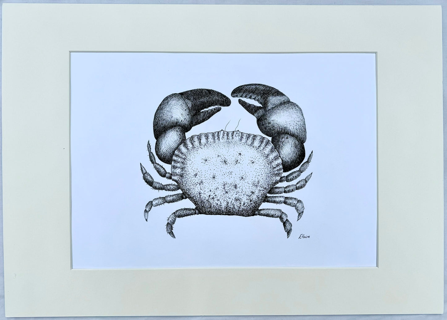 Kevin Cromer Crab A3 Print (White)