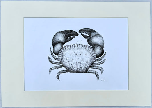 Kevin Cromer Crab A3 Print (White)