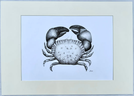 Crab Original Mounted Artwork