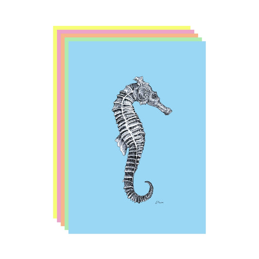 5 NEON 'Sebastian' Seahorse Postcards