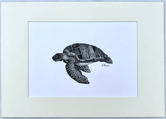 Turtle Original Mounted Artwork