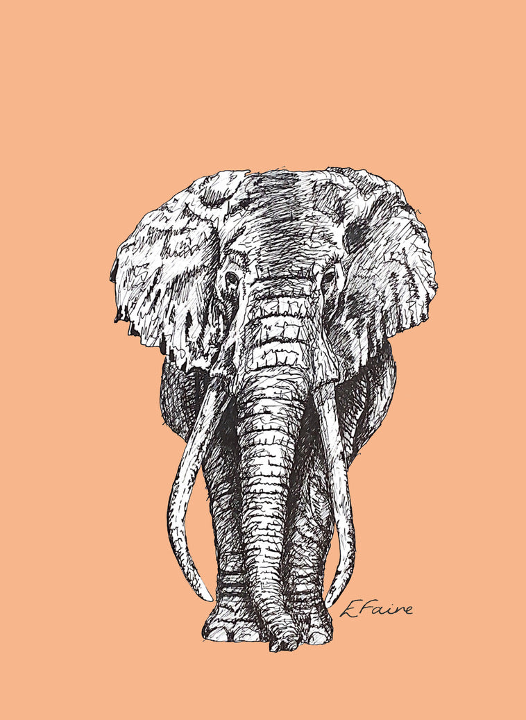 5 NEON 'Ems' Elephant Postcards (Seconds)