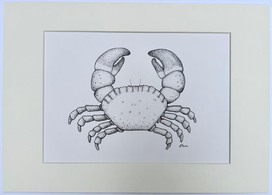 Crab Original Mounted Artwork