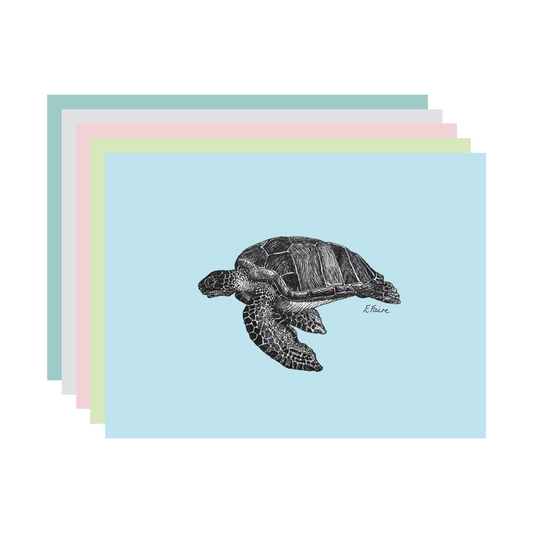 5 PASTEL 'Terry' Turtle Postcards