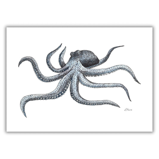 Marine Collection Octopus A3 Print
